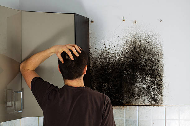 Water Damage Restoration in Brewster, OH